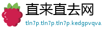直来直去网